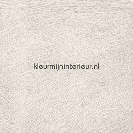 Elitis Memoires VP-625-02 | Bestellen bij https://www.kleurmijninterieur.nl/