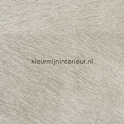 Elitis Memoires VP-625-04 | Bestellen bij https://www.kleurmijninterieur.nl/