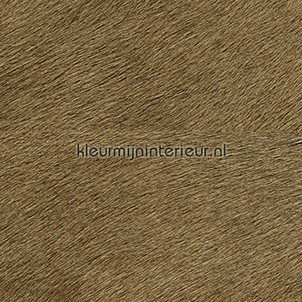 Elitis Memoires VP-625-32 | Bestellen bij https://www.kleurmijninterieur.nl/