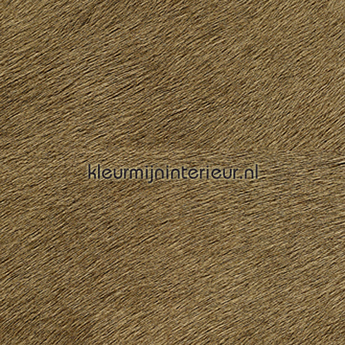 Elitis Memoires VP-625-32 | Bestellen bij https://www.kleurmijninterieur.nl/
