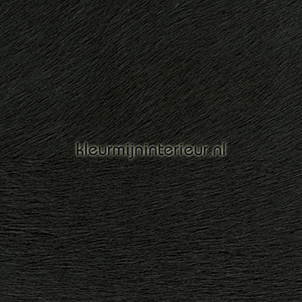 Elitis Memoires VP-625-06 | Bestellen bij https://www.kleurmijninterieur.nl/