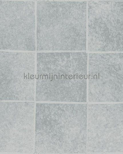 Elitis Art paper RM-1036-04 | Bestellen bij https://www.kleurmijninterieur.nl/
