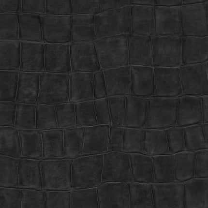 Collection image for: Anguille Big croco Legend
