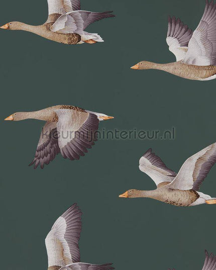 Sanderson Arboretum DYSI216608 | Bestellen bij https://www.kleurmijninterieur.nl/