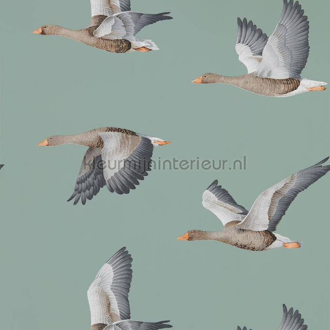 Sanderson Arboretum DYSI216610 | Bestellen bij https://www.kleurmijninterieur.nl/