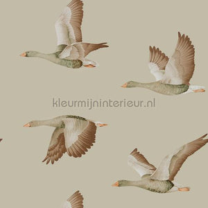 Sanderson Elysian 216609 | Bestellen bij https://www.kleurmijninterieur.nl/