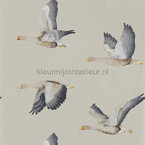 Sanderson Elysian 216611 | Bestellen bij https://www.kleurmijninterieur.nl/