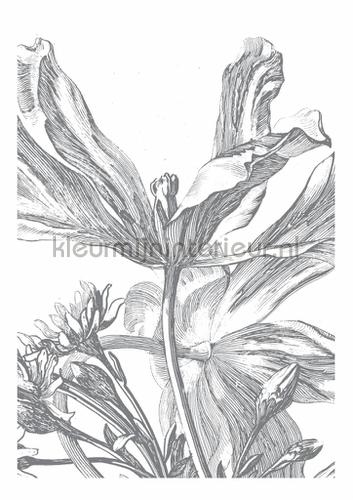 Kek Amsterdam Golden Age Flowers WP-329 | Bestellen bij https://www.kleurmijninterieur.nl/