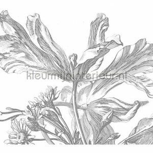 Kek Amsterdam Golden Age Flowers WP-337 | Bestellen bij https://www.kleurmijninterieur.nl/