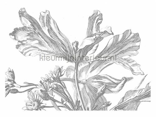 Kek Amsterdam Golden Age Flowers WP-337 | Bestellen bij https://www.kleurmijninterieur.nl/