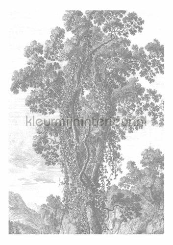 Kek Amsterdam Golden Age Flowers WP-313 | Bestellen bij https://www.kleurmijninterieur.nl/