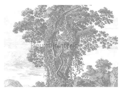 Kek Amsterdam Golden Age Flowers WP-323 | Bestellen bij https://www.kleurmijninterieur.nl/