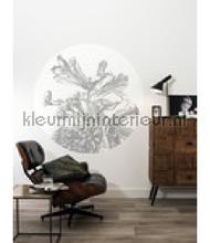 Kek Amsterdam Circles and Panels sc-060 | Bestellen bij https://www.kleurmijninterieur.nl/