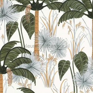 Caselio Young and Free YNF103377004 | Bestellen bij https://www.kleurmijninterieur.nl/
