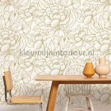 Caselio XXL XXL104540020 | Bestellen bij https://www.kleurmijninterieur.nl/