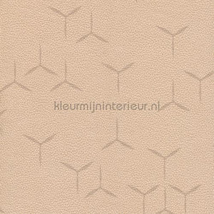 Texdecor Polyform Vinacoustic PFY91021217 | Bestellen bij https://www.kleurmijninterieur.nl/