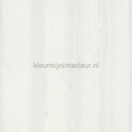 Esta for Kids Little Bandits 138927 | Bestellen bij https://www.kleurmijninterieur.nl/