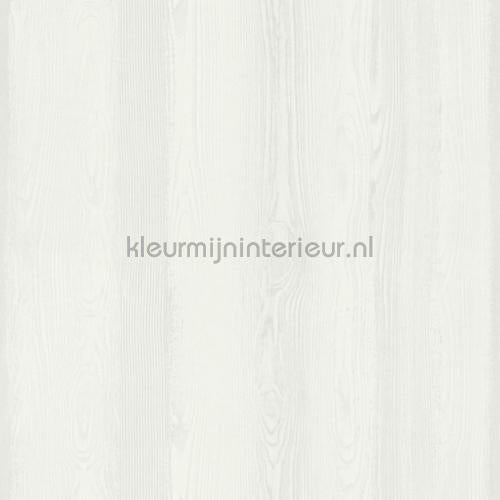 Esta for Kids Little Bandits 138927 | Bestellen bij https://www.kleurmijninterieur.nl/