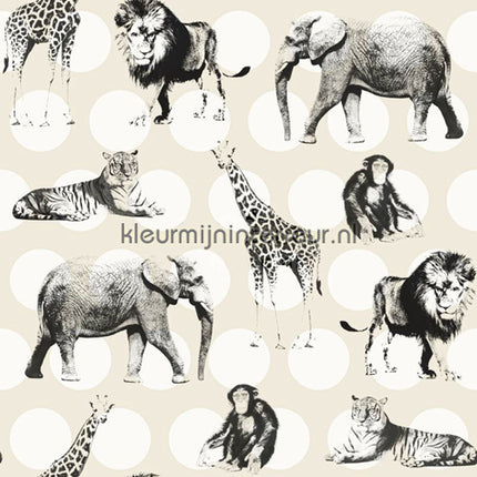 Esta for Kids Everybody Bonjour 137-128 712 | Bestellen bij https://www.kleurmijninterieur.nl/