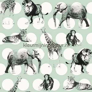 Esta for Kids Everybody Bonjour 137-128 713 | Bestellen bij https://www.kleurmijninterieur.nl/