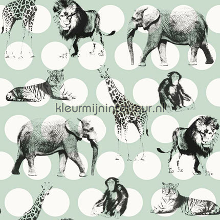 Esta for Kids Everybody Bonjour 137-128 713 | Bestellen bij https://www.kleurmijninterieur.nl/