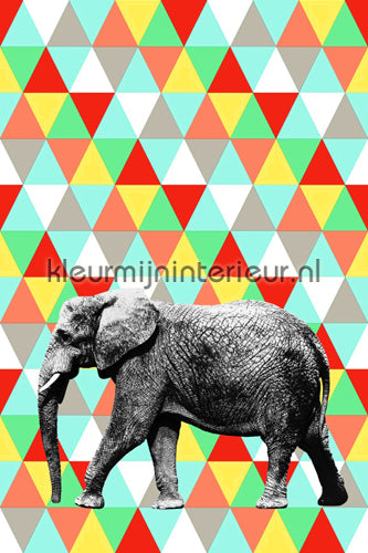 Esta for Kids Everybody Bonjour 137-158 707 | Bestellen bij https://www.kleurmijninterieur.nl/