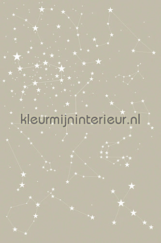 Esta for Kids Everybody Bonjour 137-158 705 | Bestellen bij https://www.kleurmijninterieur.nl/