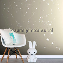 Esta for Kids Everybody Bonjour 137-158 705 | Bestellen bij https://www.kleurmijninterieur.nl/