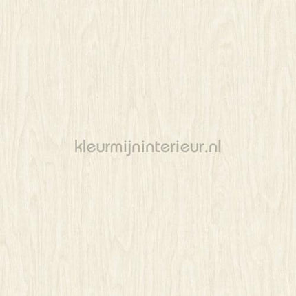 Versace wallpaper Versace 4 370525 | Bestellen bij https://www.kleurmijninterieur.nl/