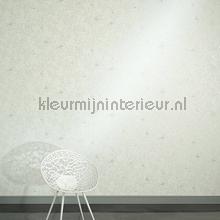 Versace wallpaper Versace 3 344963 | Bestellen bij https://www.kleurmijninterieur.nl/