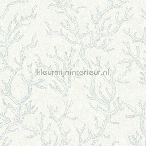 Versace wallpaper Versace 3 344972 | Bestellen bij https://www.kleurmijninterieur.nl/