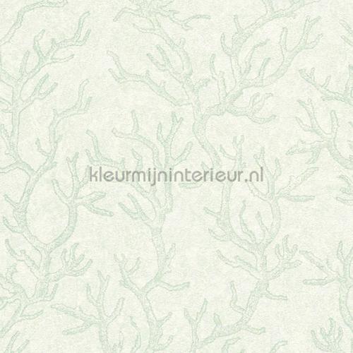 Versace wallpaper Versace 3 344973 | Bestellen bij https://www.kleurmijninterieur.nl/