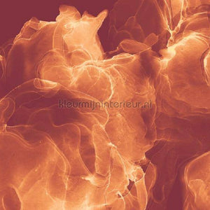 Komar INK INX8-073 | Bestellen bij https://www.kleurmijninterieur.nl/