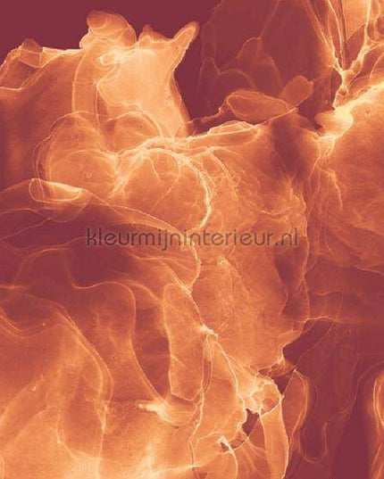 Komar INK INX8-073 | Bestellen bij https://www.kleurmijninterieur.nl/