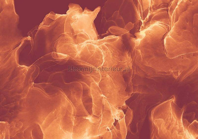 Komar INK INX8-073 | Bestellen bij https://www.kleurmijninterieur.nl/