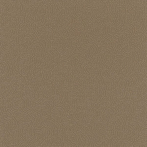 31854 | kleurmijninterieur