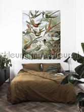 Kek Amsterdam Flora en Fauna pa-023 | Bestellen bij https://www.kleurmijninterieur.nl/