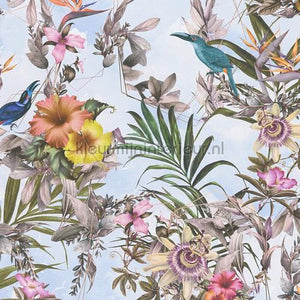 AS Creation Dream Flowery 381784 | Bestellen bij https://www.kleurmijninterieur.nl/