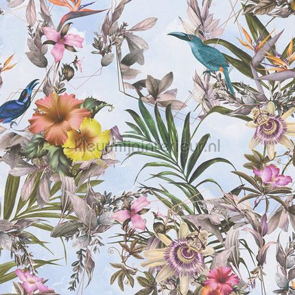 AS Creation Dream Flowery 381784 | Bestellen bij https://www.kleurmijninterieur.nl/