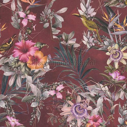 AS Creation Dream Flowery 381785 | Bestellen bij https://www.kleurmijninterieur.nl/