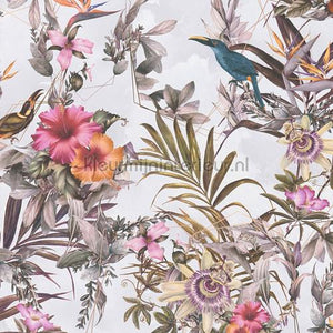 AS Creation Dream Flowery 381787 | Bestellen bij https://www.kleurmijninterieur.nl/
