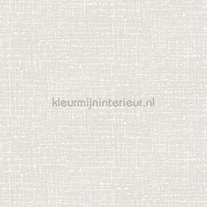 Dutch Wallcoverings Embellish DE120101 | Bestellen bij https://www.kleurmijninterieur.nl/