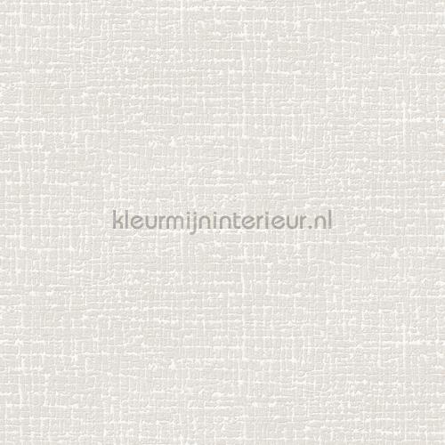 Dutch Wallcoverings Embellish DE120101 | Bestellen bij https://www.kleurmijninterieur.nl/