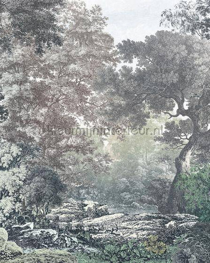 Komar RAW R4-060 | Bestellen bij https://www.kleurmijninterieur.nl/