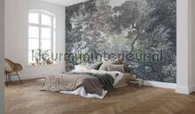 Komar RAW R4-060 | Bestellen bij https://www.kleurmijninterieur.nl/