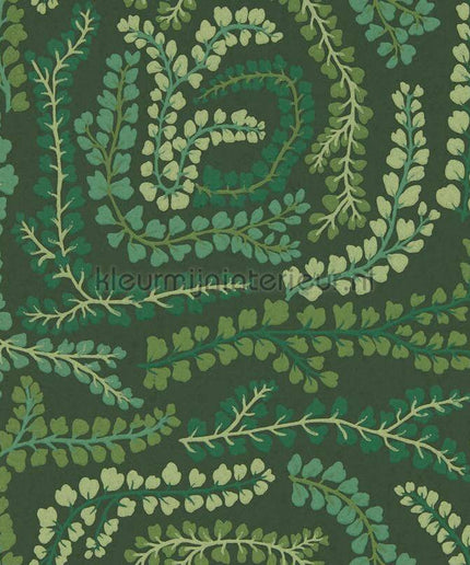 Harlequin Colour 4 HC4W113019 | Bestellen bij https://www.kleurmijninterieur.nl/