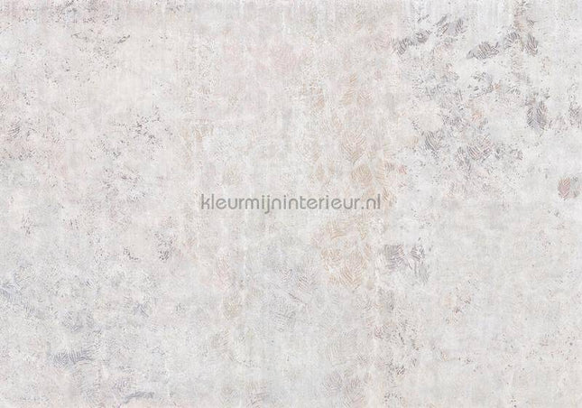 Komar RAW R4-052 | Bestellen bij https://www.kleurmijninterieur.nl/