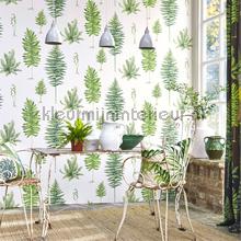 Sanderson Glasshouse 216635 | Bestellen bij https://www.kleurmijninterieur.nl/