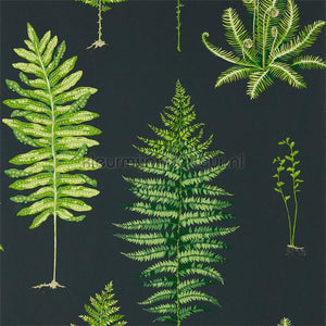 Sanderson Glasshouse 216634 | Bestellen bij https://www.kleurmijninterieur.nl/