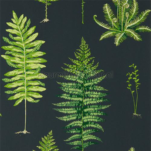Sanderson Glasshouse 216634 | Bestellen bij https://www.kleurmijninterieur.nl/